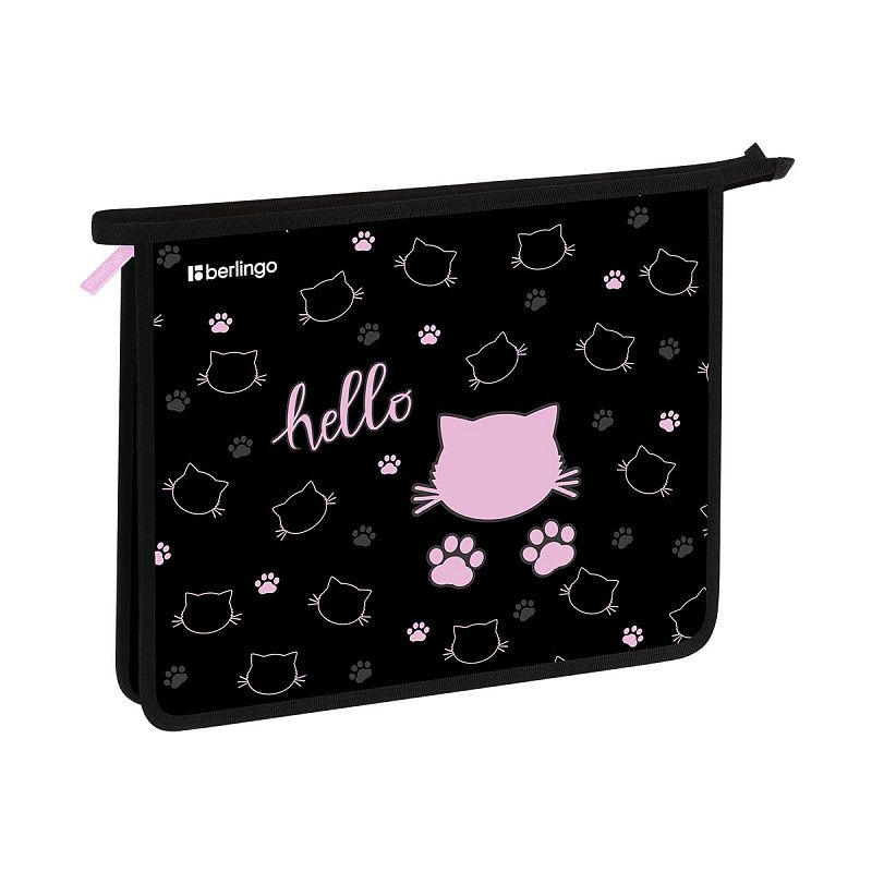 Папка для тетрадей 1 отделение, А5 Berlingo "Royal Kitty", 240*205*40мм, пластик, на молнии