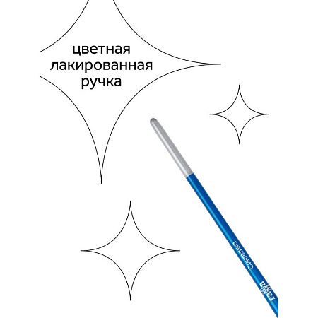 Набор кистей Гамма "Классические" 5шт., синтетика, круглые № 1, 3, 5, плоские № 5, 8, блистер, европодвес
