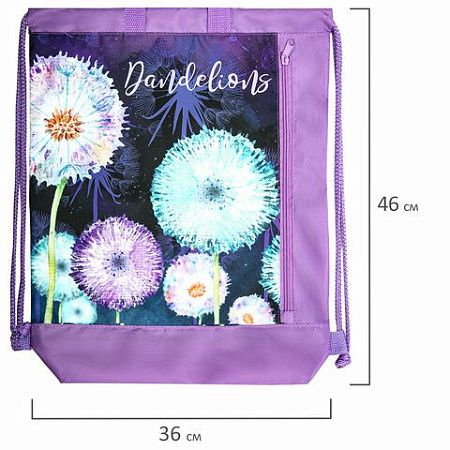 Мешок для обуви ЮНЛАНДИЯ с ручками, боковой карман на молнии, 46х36 см, "Flowers", 271065 