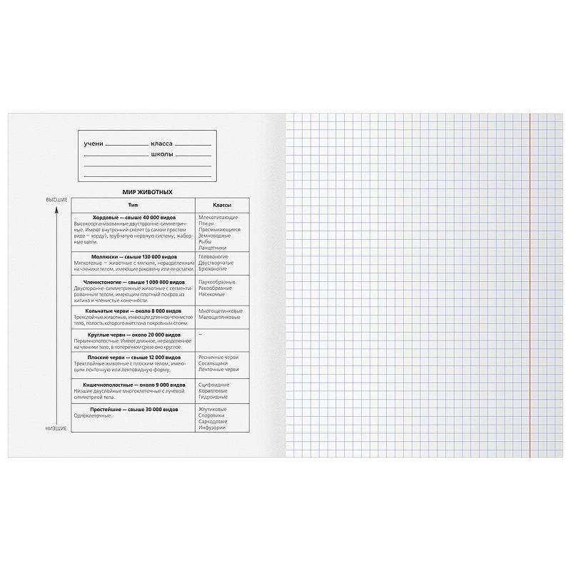 Тетрадь предметная 48л. BG "Юный гений" - Биология, эконом
