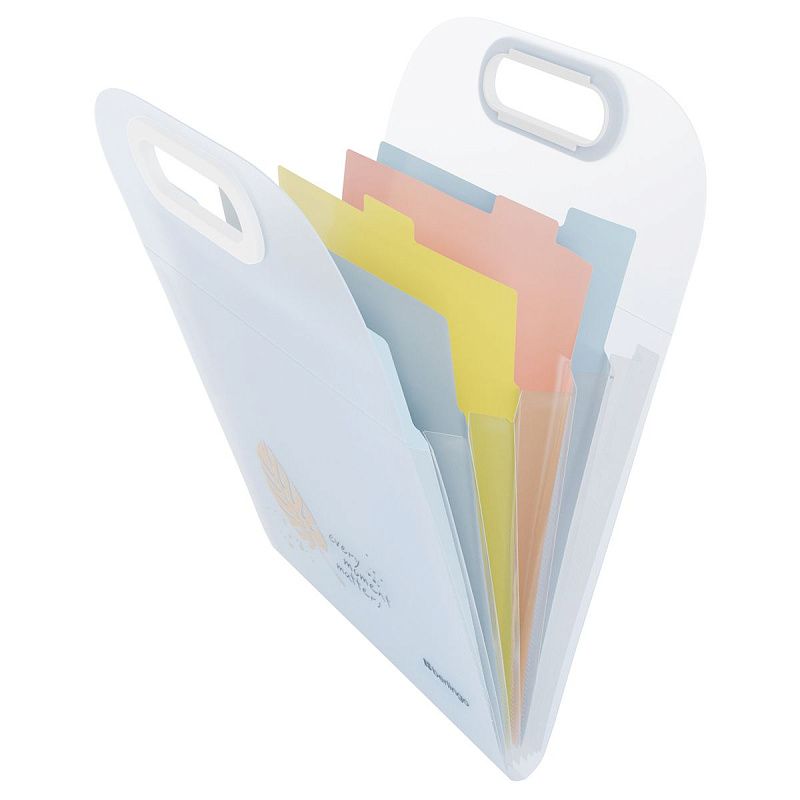 Папка 6 отделений Berlingo "Eco", А4, вертикальная, с ручкой, 650мкм, прозрачная, с рисунком 