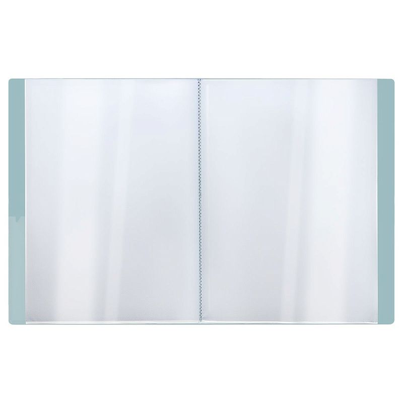 Папка с 40 вкладышами СТАММ "Акцент" А4, 21мм, 800мкм, пластик, эвкалиптовая 