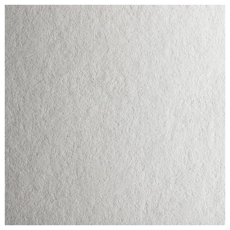 Папка для акварели, 10л., А4 Мульти-Пульти "Енот в Волшебном мире", 200г/м2