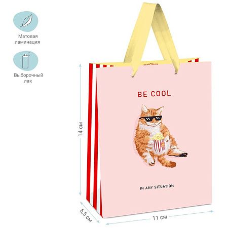 Пакет подарочный 11*14*6,5см MESHU "Be cool", выб. лак, матовая ламинация