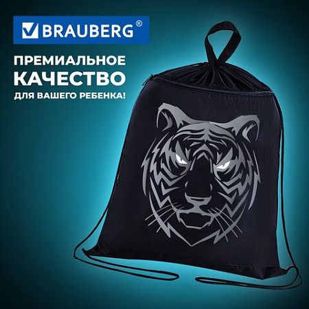 Мешок для обуви BRAUBERG, с петлёй, карман на молнии, 47х37 см, "Tiger", 271610 