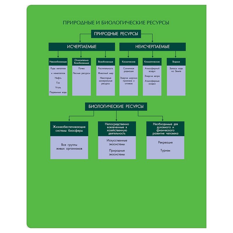 Тетрадь предметная 48л. BG "Профтест" - Биология, эконом