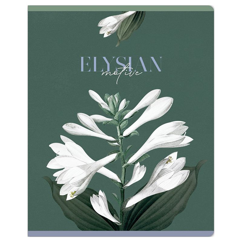 Тетрадь 48л., А5, клетка Greenwich Line "Wild flowers", "софт-тач" ламинация, выб. лак, 70г/м2