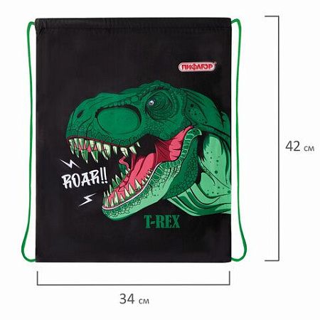 Мешок для обуви ПИФАГОР, 1 отделение, 40х32 см, Dino roar, 272387 