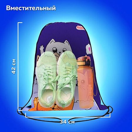 Мешок для обуви ПИФАГОР, 1 отделение, 40х32 см, Cats greetings, 272382 