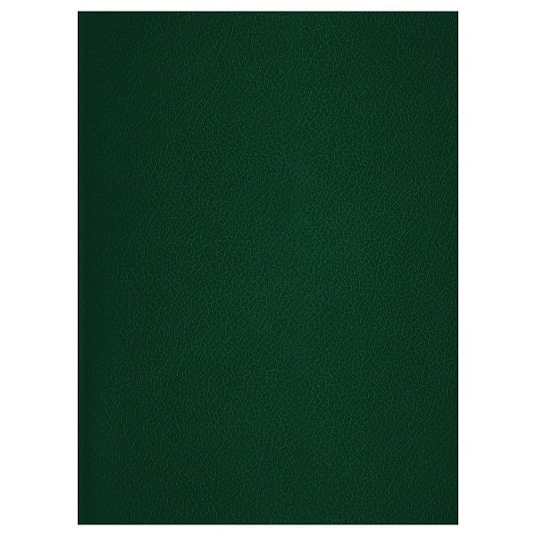 Тетрадь 48л., А4 клетка BG, бумвинил, зеленый