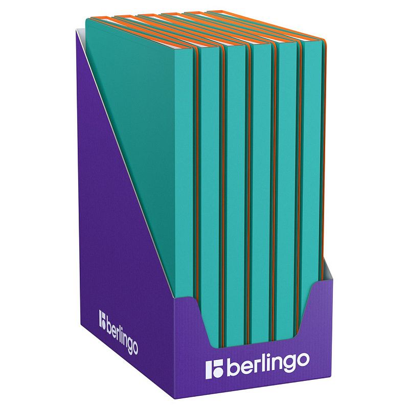 Папка с 20 вкладышами Berlingo "Soft Touch Pro", 17мм, 700мкм, с внутр. карманом, бирюзовая, внутр. оранжевая, софт-тач 