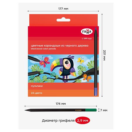 Карандаши цветные Гамма "Мультики", 24цв., черное дерево,заточен., картон. упак., европодвес