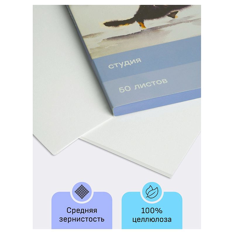 Папка для акварели, 50л., А4, Гамма "Студия", 200г/м2, среднее зерно
