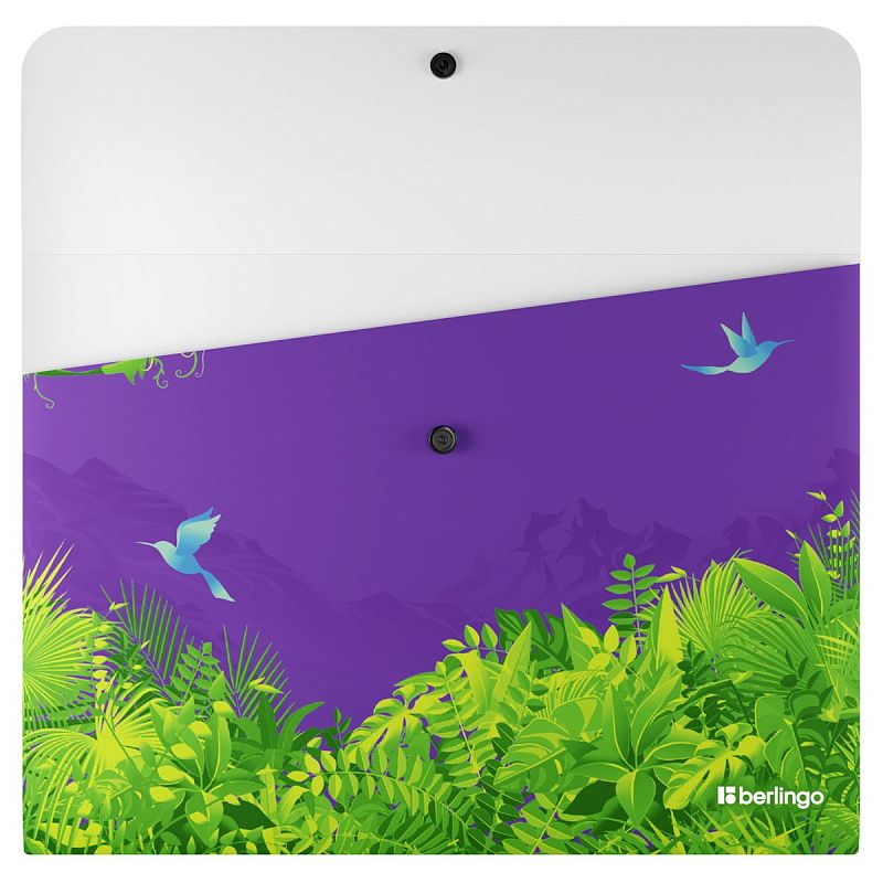 Папка-конверт на кнопке Berlingo "Flower Art", А4, 330мкм, с рисунком 