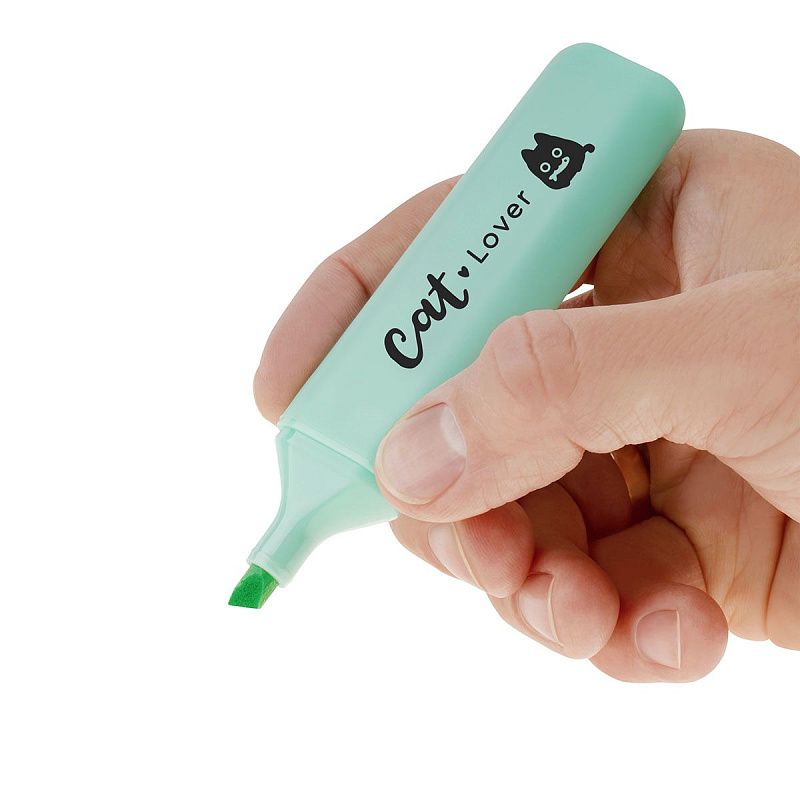 Набор текстовыделителей MESHU "Live, Life, Meow", 04цв., пастельные цвета, 1-5 мм, ПВХ бокс с европодвесом 