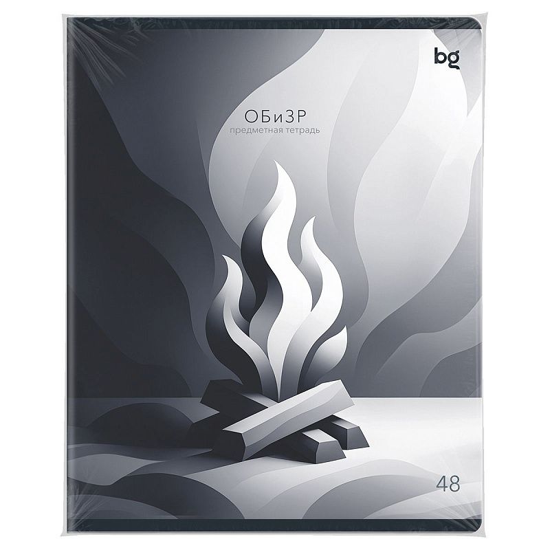Тетрадь предметная 48л. BG "В гранях разума" - ОБиЗР, матовая ламинация