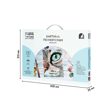 Картина по номерам на холсте ТРИ СОВЫ "Кошачий взгляд", 30*40, с акриловыми красками и кистями