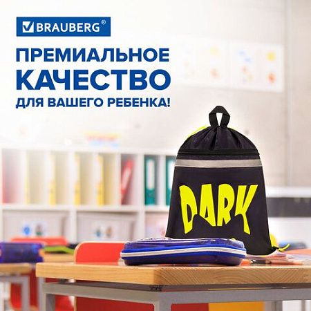 Мешок для обуви BRAUBERG, с петлей, светоотражающая полоса, 2 отделения, 46х36 см, Dark cat, 272394 