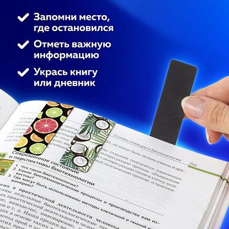 Закладки для книг МАГНИТНЫЕ, "FRUITS", набор 6 шт., 60x20 мм, BRAUBERG, 113160 