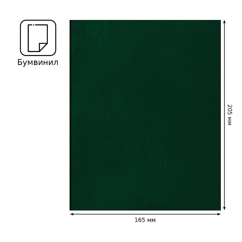 Тетрадь 48л., А5 клетка BG, бумвинил, зеленый