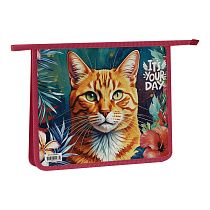 Папка для тетрадей 1 отделение, ArtSpace "The Red Cat", А5, пластик, на молнии