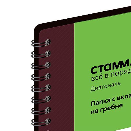 Папка с 30 вкладышами на гребне СТАММ "Диагональ" А4, 17мм, 700мкм, пластик, гранат 