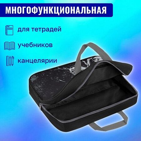 Папка на молнии с ручками BRAUBERG А4, 1 отделение, полиэстер, 80 мм, Scary dino, 273308 