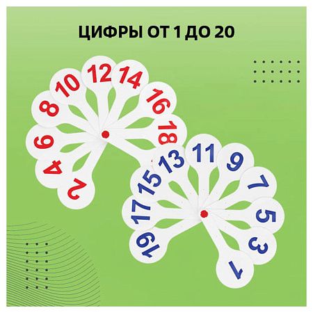 Набор веер-касс, 3шт., гласные, согласные и цифры от 1 до 20, СТАММ 