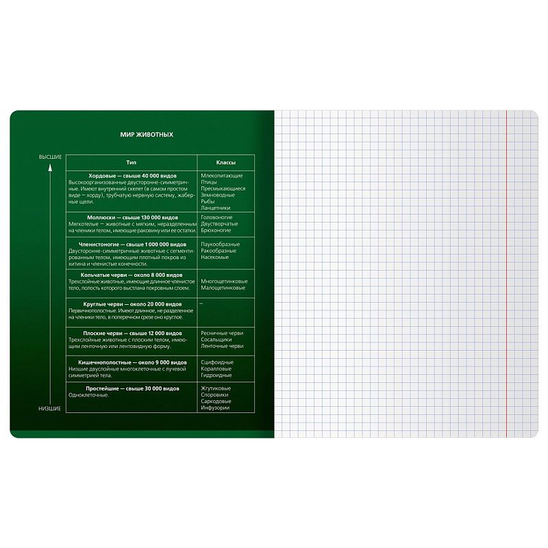 Тетрадь предметная 48л. BG "Темное стекло" - Биология, конгрев, твин-лак, 70г/м2