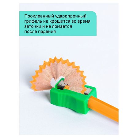 Карандаши цветные Гамма "Хобби. Лесной пейзаж", 12цв., заточен., ПВХ, европодвес