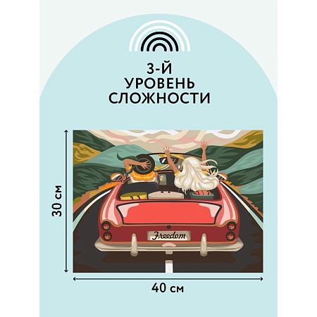 Картина по номерам на холсте ТРИ СОВЫ "В лето на кабриолете", 30*40, с акриловыми красками и кистями