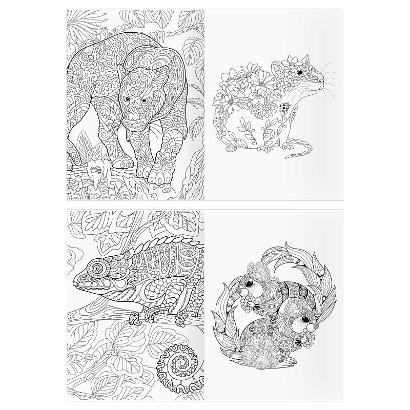 Раскраска А4 ТРИ СОВЫ "Антистресс. Удивительные животные", 16стр.