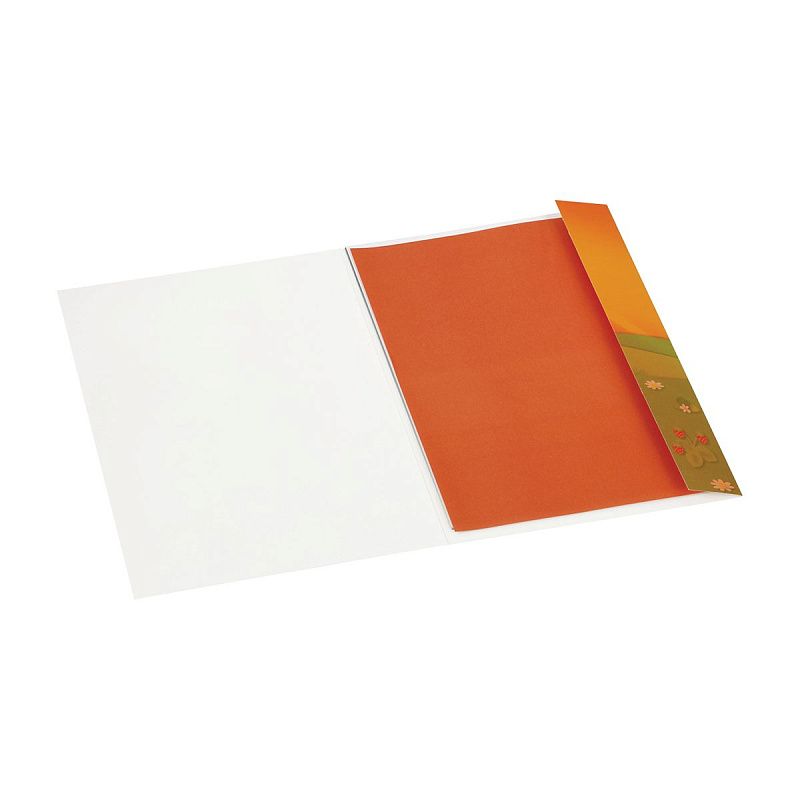 Цветная бумага офсетная А4, Мульти-Пульти, 16л., 8цв., в папке, "Приключения Енота"