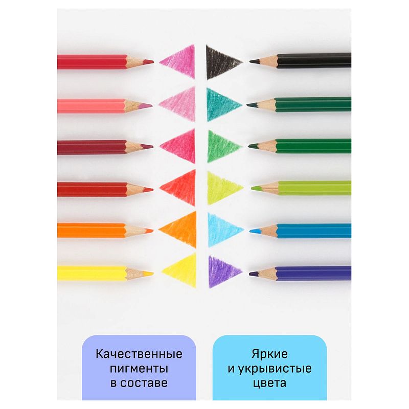 Карандаши цветные Гамма "Хобби. Флористика", 12цв., заточен., ПВХ, европодвес