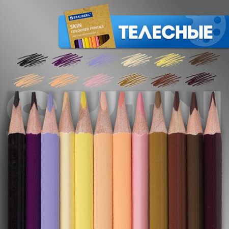 Карандаши цветные BRAUBERG, 60 цветов (Базовые, Металлик, Неон, Пастель, Телесные), 181792