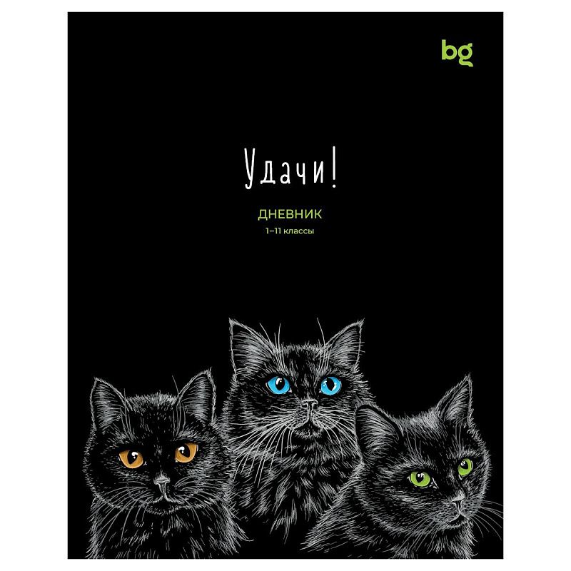 Дневник 1-11 кл. 40л. на скобе BG "Удачи!"