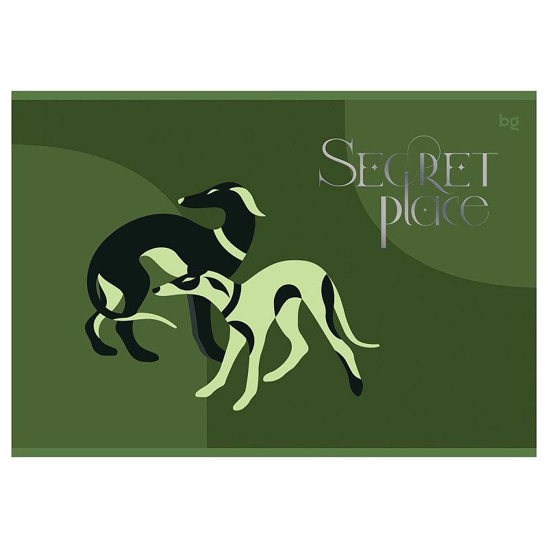 Альбом для рисования 32л., А4, на гребне BG "Secret place", выб. лак, тиснение фольга