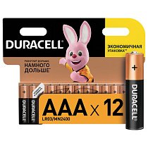 Батарейки КОМПЛЕКТ 12 шт, DURACELL Basic, AAA (LR03, 24А), алкалиновые, мизинчиковые, блистер