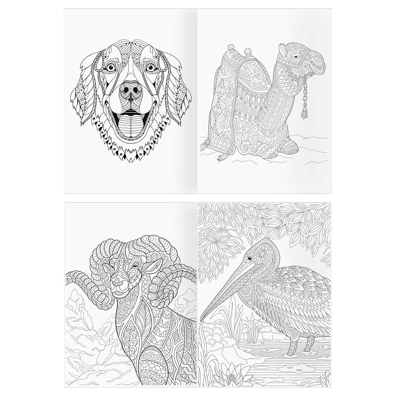 Раскраска А4 ТРИ СОВЫ "Антистресс. Удивительные животные", 16стр.