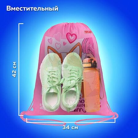 Мешок для обуви ПИФАГОР, 1 отделение, 40х32 см, Fluffy akita, 272385 