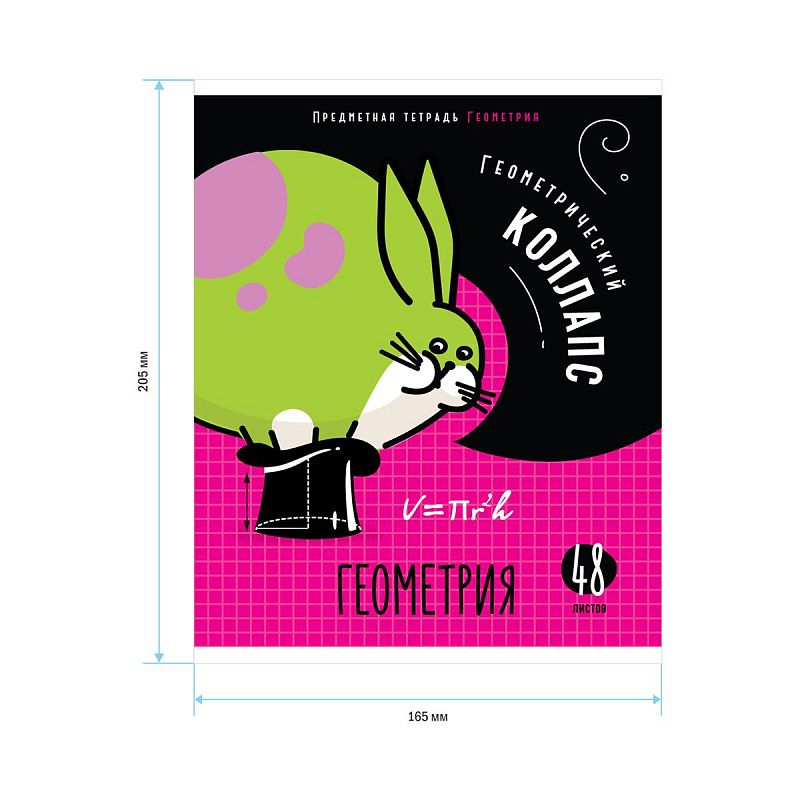 Тетрадь предметная 48л. ArtSpace "Мысли вслух"- Геометрия, эконом