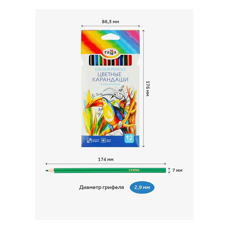 Карандаши цветные Гамма "Классические", 12цв., заточен., картон. упаковка, европодвес