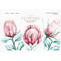 Альбом для рисования 40л., А4, на скрепке Greenwich Line "Flowers collection", 120г/м2