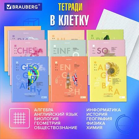 Тетради предметные со справочным материалом, КОМПЛЕКТ 12 ПРЕДМЕТОВ, VISION, 48 л., обложка картон, BRAUBERG, 404323