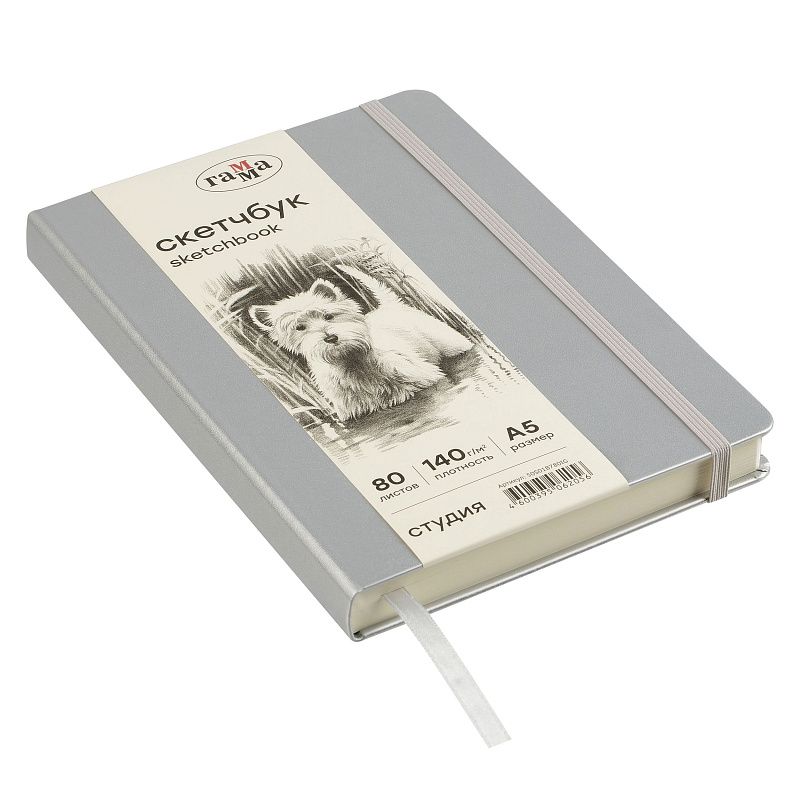 Скетчбук 80л., А5 Гамма "Студия", серебро, твердая обложка, на резинке, слоновая кость, 140г/м2