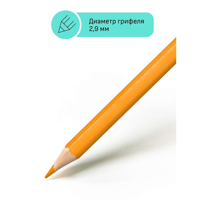 УЦЕНКА - Карандаши цветные Гамма "Хобби. Лесной пейзаж", 12цв., заточен., ПВХ, европодвес