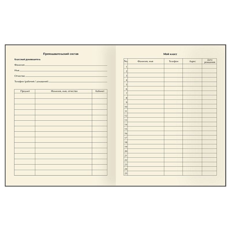 Дневник 1-11 кл. 48л. (твердый) BG "Samurai", матовая ламинация, тиснение фольгой, фигурный клапан, ляссе