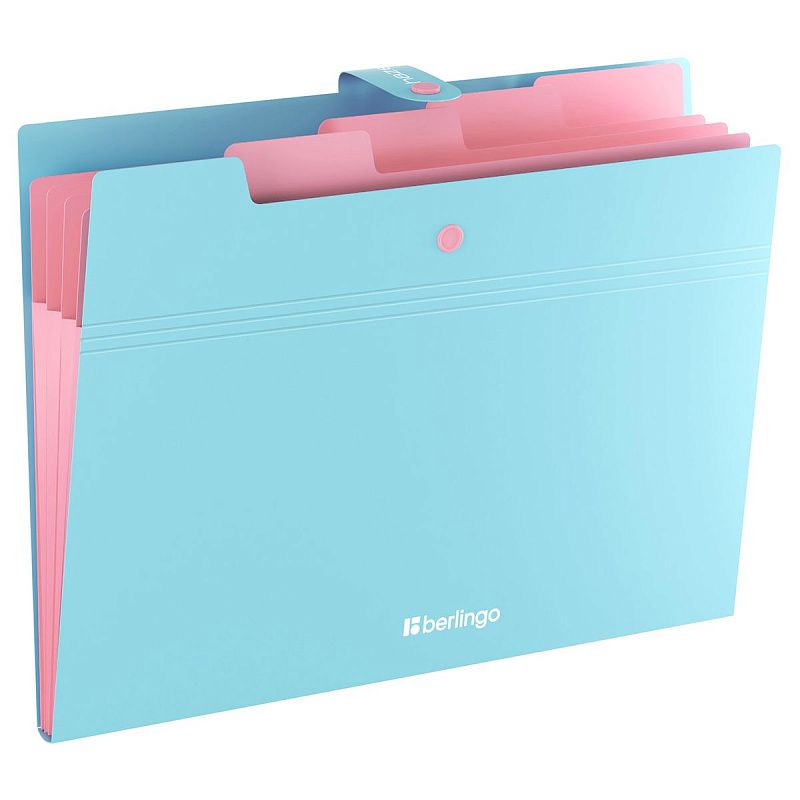 Папка 5 отделений Berlingo "Haze", А4, 600мкм, на кнопке, голубая, софт-тач 