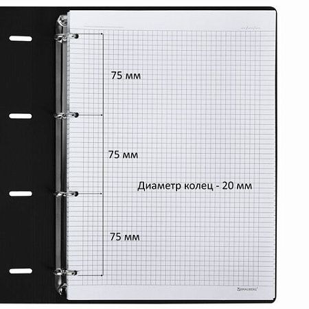 Тетрадь на кольцах БОЛЬШАЯ А4 (240х310 мм), 120 л., под кожу, BRAUBERG VISTA, "Туман", 404515