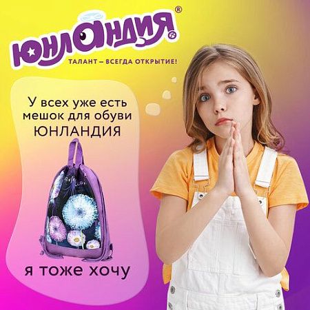 Мешок для обуви ЮНЛАНДИЯ с ручками, боковой карман на молнии, 46х36 см, "Flowers", 271065 